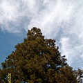 IMG_7357.JPG IMG_7357.JPG