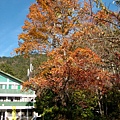 IMG_7362.JPG IMG_7362.JPG
