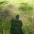 IMG_7383.JPG IMG_7383.JPG