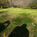 IMG_7384.JPG IMG_7384.JPG