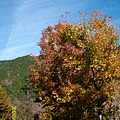 IMG_7388.JPG IMG_7388.JPG