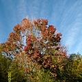 IMG_7401.JPG IMG_7401.JPG