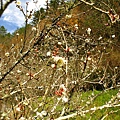 IMG_4604.jpg IMG_4604.jpg