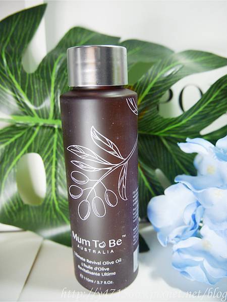 IMG_0956.jpg IMG_0956.jpg