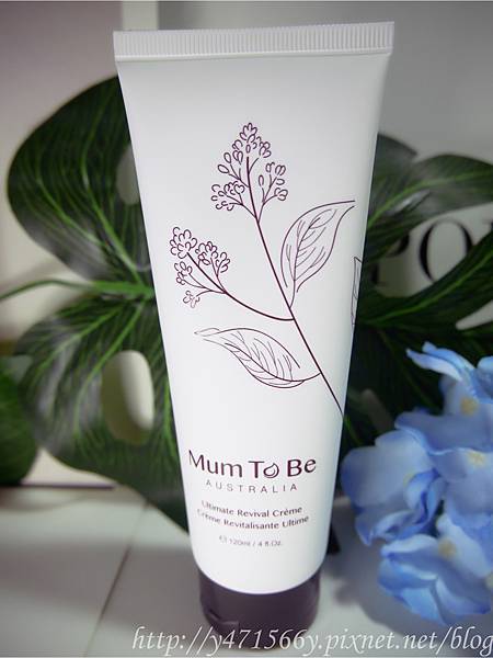 IMG_0957.jpg IMG_0957.jpg