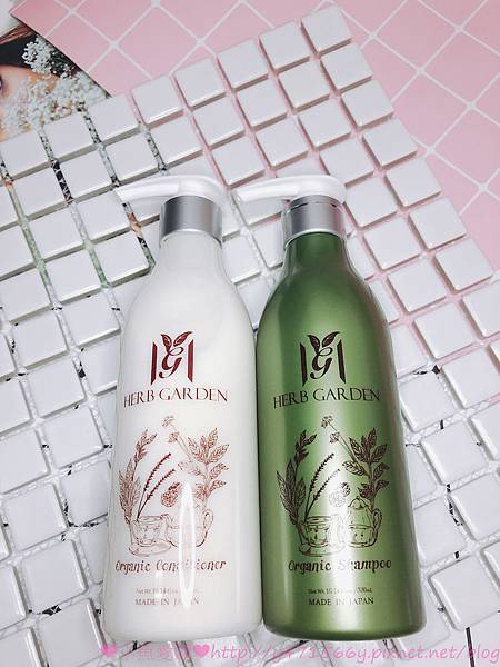 IMG_5282.jpg IMG_5282.jpg