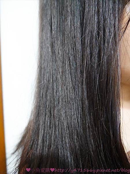 IMG_6042.jpg IMG_6042.jpg