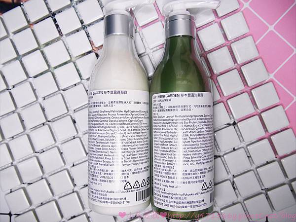 IMG_6026.jpg IMG_6026.jpg