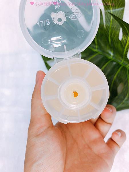 IMG_4877.jpg IMG_4877.jpg