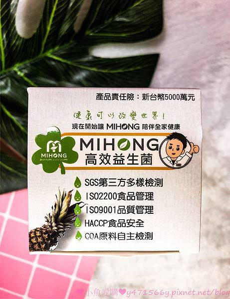 IMG_9041.jpg IMG_9041.jpg