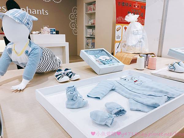 IMG_8248.jpg IMG_8248.jpg