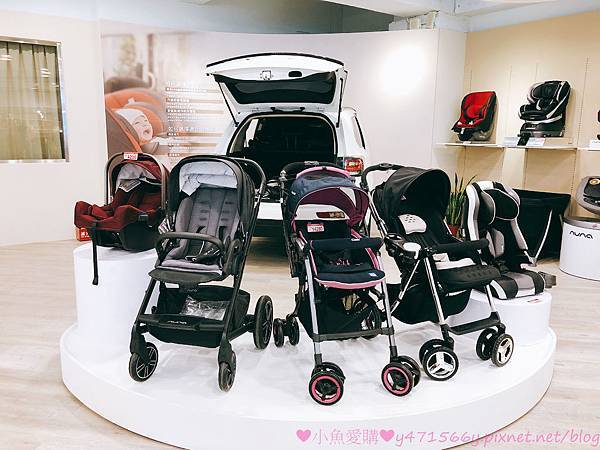 IMG_8252.jpg IMG_8252.jpg