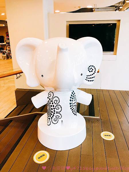 IMG_8256.jpg IMG_8256.jpg