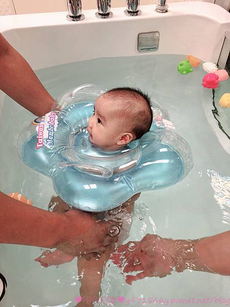 IMG_8317.jpg IMG_8317.jpg