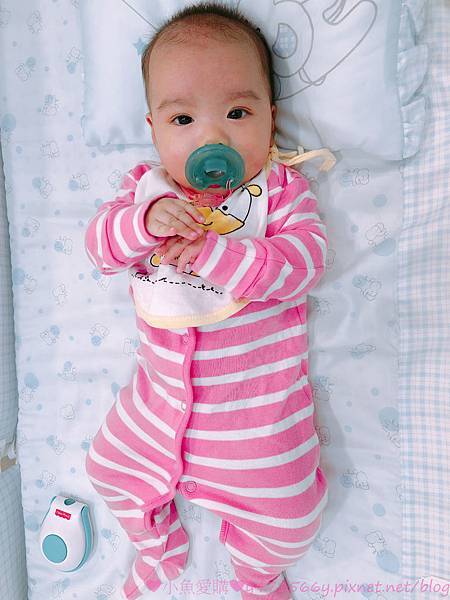 IMG_8382.jpg IMG_8382.jpg