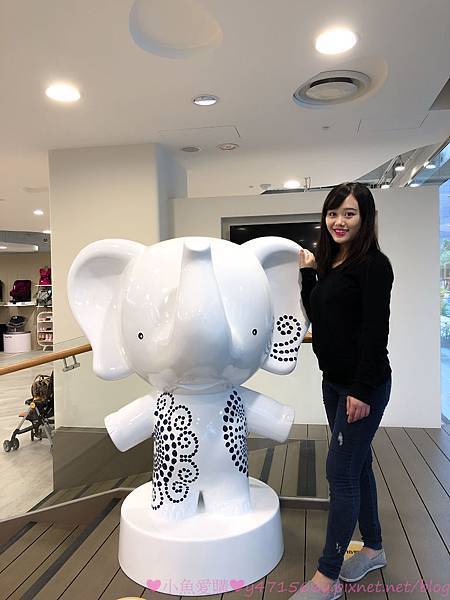 IMG_8412.jpg IMG_8412.jpg