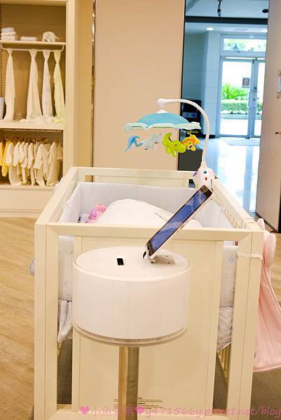 IMG_8580.jpg IMG_8580.jpg