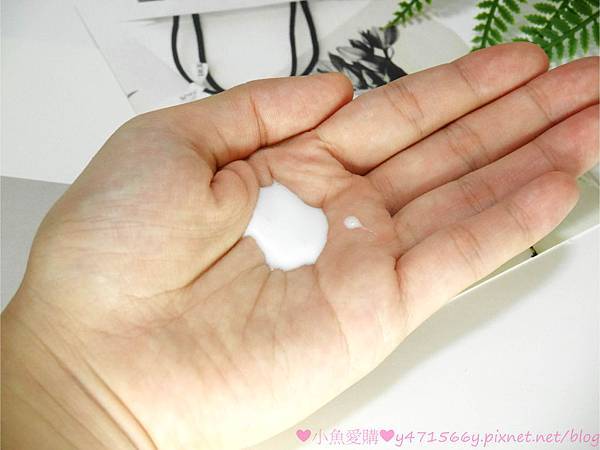 IMG_9911.jpg IMG_9911.jpg