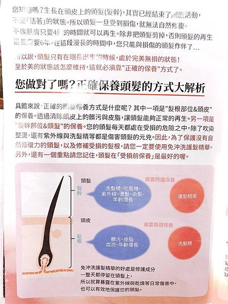 IMG_9987.JPG IMG_9987.JPG