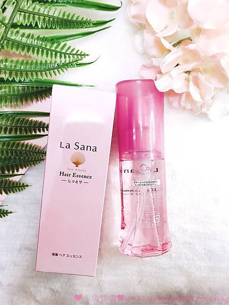 IMG_9981.jpg IMG_9981.jpg