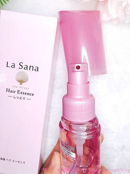 IMG_9984.jpg IMG_9984.jpg