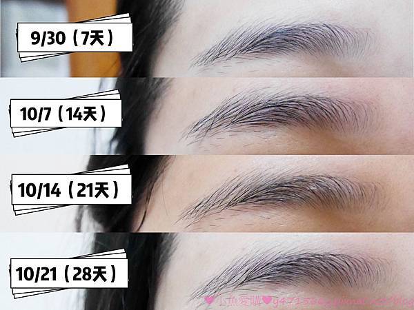 IMG_0313.jpg IMG_0313.jpg