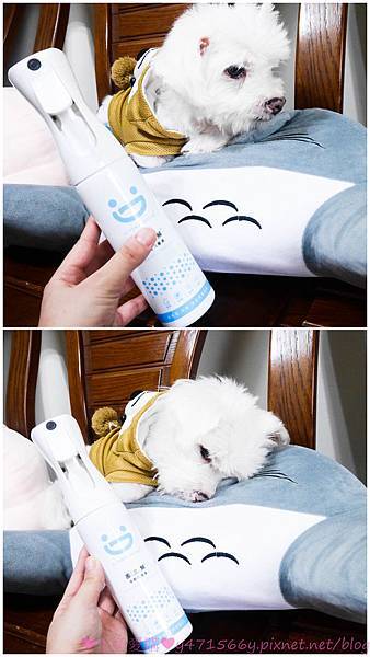 IMG_1337.jpg IMG_1337.jpg