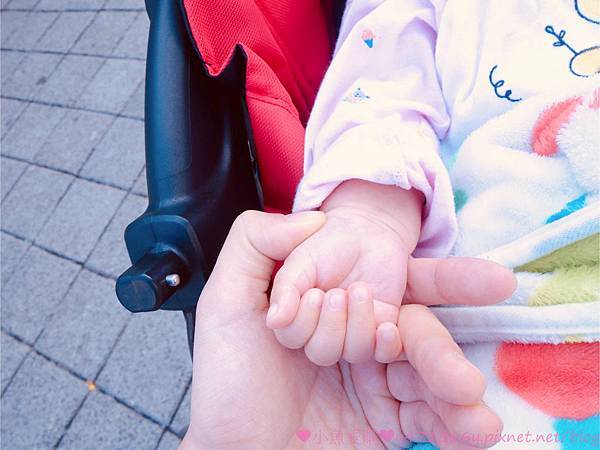 IMG_1808.jpg IMG_1808.jpg