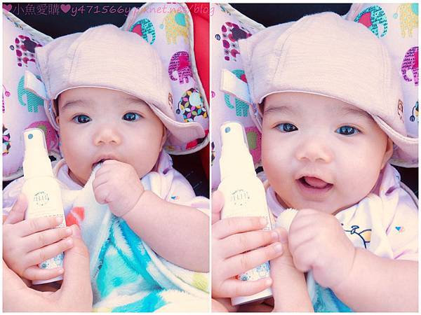 IMG_1809.jpg IMG_1809.jpg