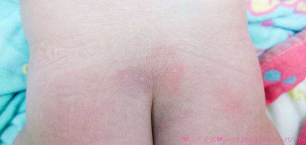 IMG_1816.jpg IMG_1816.jpg