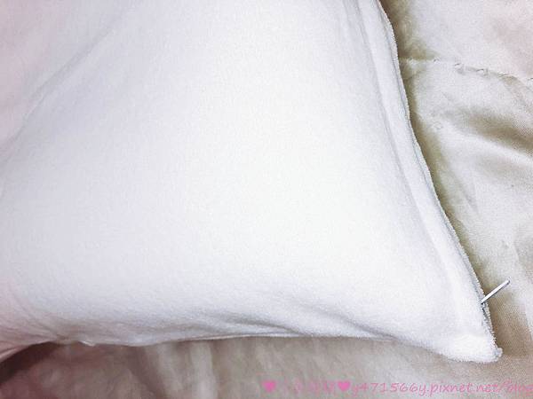 IMG_3277.jpg IMG_3277.jpg