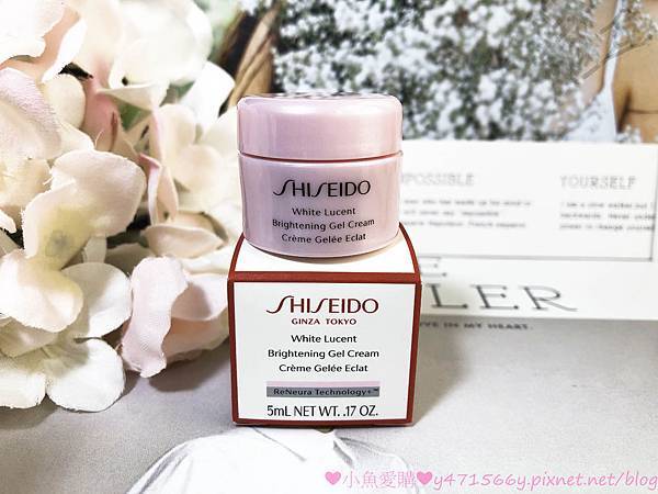 IMG_8400.jpg IMG_8400.jpg