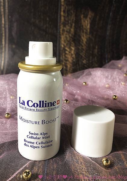 IMG_1330.jpg IMG_1330.jpg