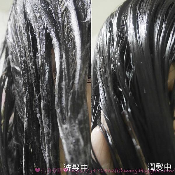 20210421-IMG_5894.jpg 20210421-IMG_5894.jpg