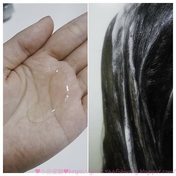 20210724-IMG_9949.jpg 20210724-IMG_9949.jpg