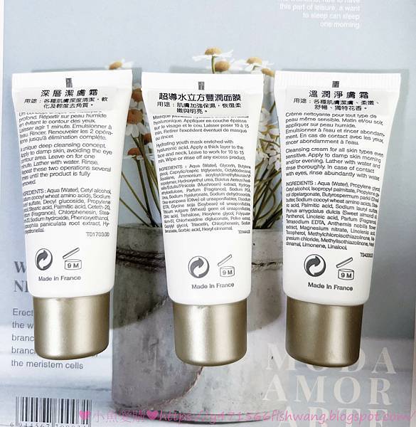 20230808-IMG_7416.jpg 20230808-IMG_7416.jpg