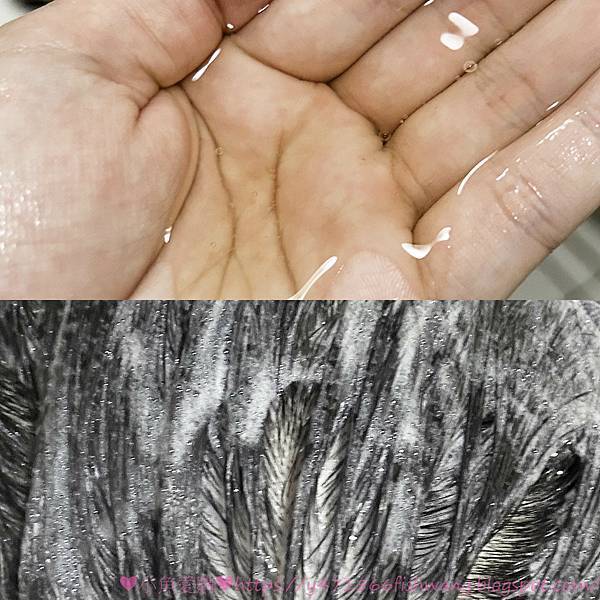 20230828-B73D43D3-786D-41C4-BC2A-A2EF159269BF.jpg 20230828-B73D43D3-786D-41C4-BC2A-A2EF159269BF.jpg