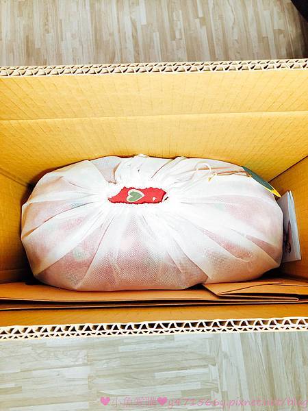 IMG_6244.jpg IMG_6244.jpg