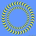 Optical Illusions (194).jpg