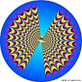 Optical Illusions (206).jpg