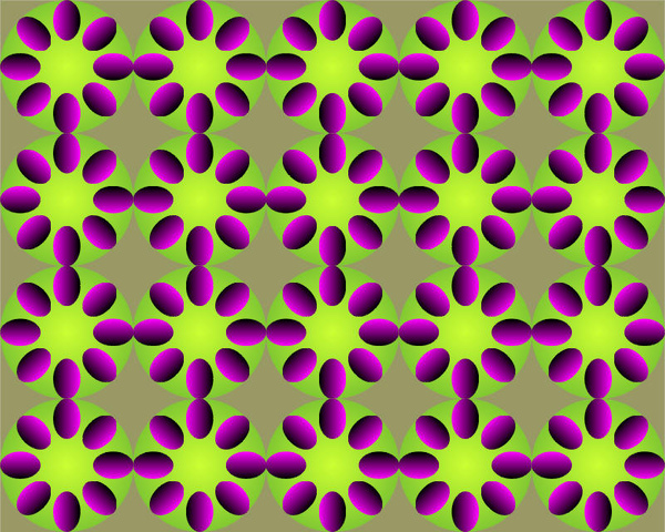Optical Illusions (234).jpg
