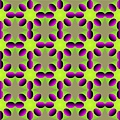 Optical Illusions (234).jpg