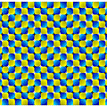 Optical Illusions (259).gif