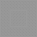 Optical Illusions (276).jpg
