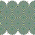 Optical Illusions (289).jpg