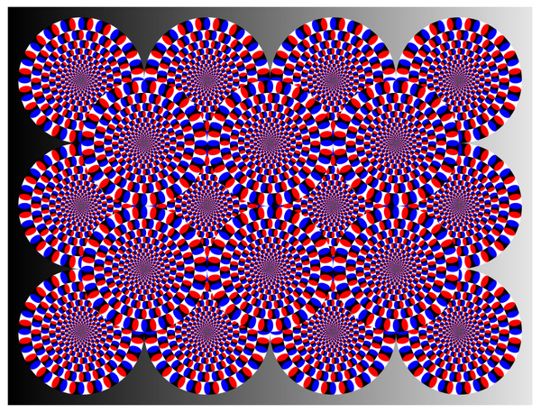 Optical Illusions (292).jpg