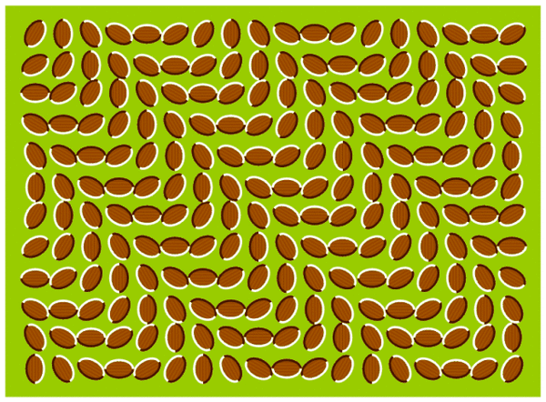 Optical Illusions (295).gif