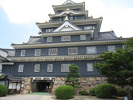 IMG_8768 IMG_8768