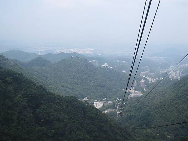 IMG_9201 IMG_9201