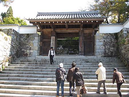 IMG_1178 IMG_1178
